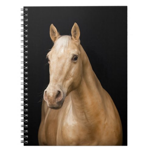 Palomino horse in a black background notebook
