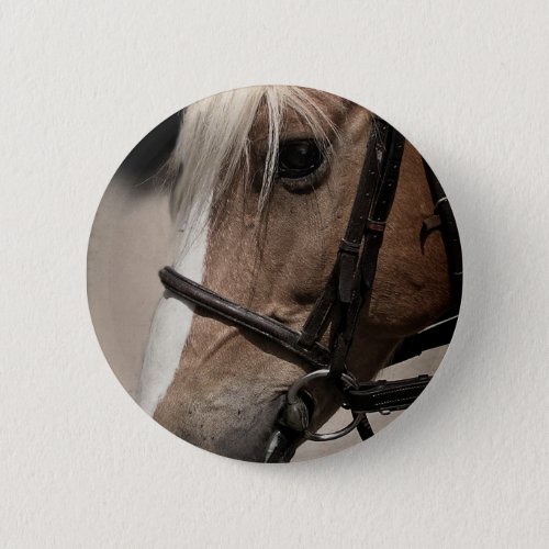 Palomino Horse in Bridle Button