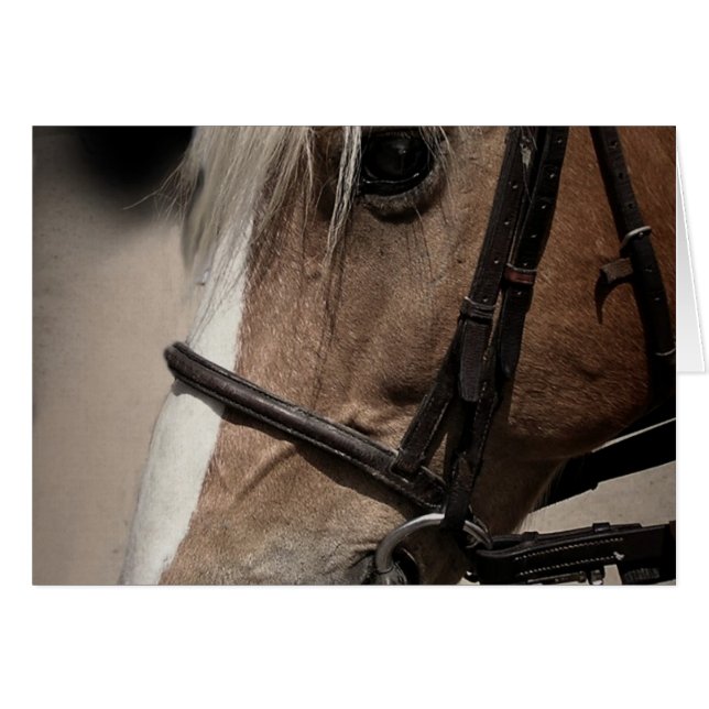 Palomino Horse in Bridle Cards (Front Horizontal)