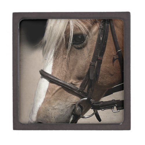 Palomino Horse in Bridle Keepsake Box