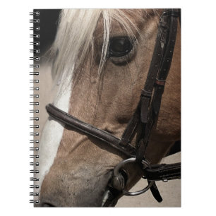 Palomino Horse in Bridle Notebook