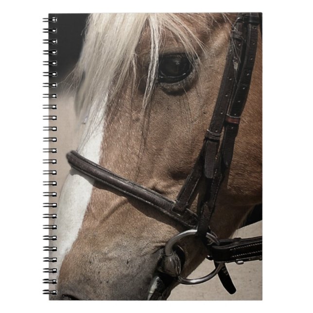 Palomino Horse in Bridle Notebook (Front)