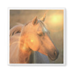 Palomino Horse in Light Square Magnet