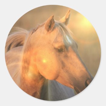 Palomino Horse In Light Sticker by HorseStall at Zazzle
