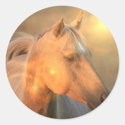 Palomino Horse in Light Sticker