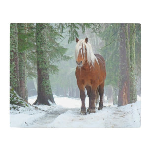 Palomino Horse in Snow With Pine Trees Metal Print