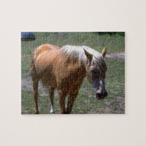 Palomino Horse Jigsaw Puzzle