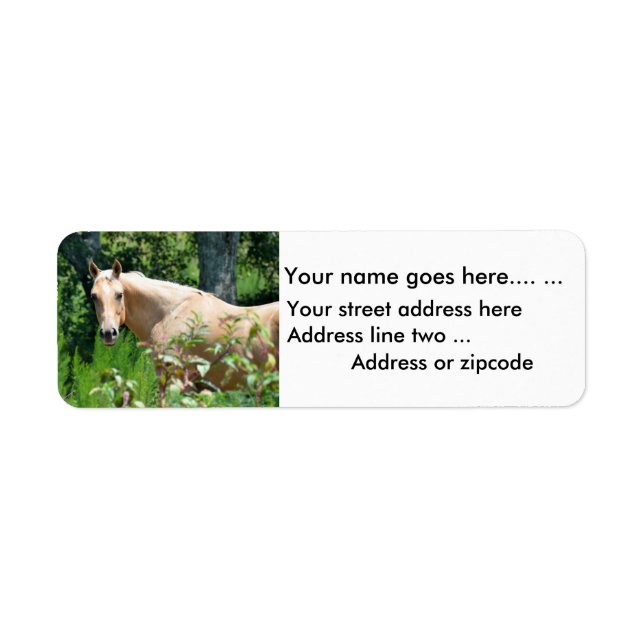 Palomino Horse Return Address Labels (Front)
