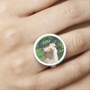 Palomino Horse Round Ring