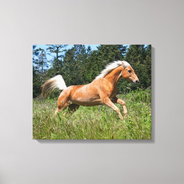 Palomino Horse Running through a Meadow Canvas Print (Front)