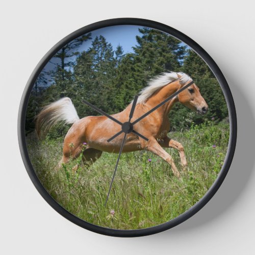 Palomino Horse Running through a Meadow Clock