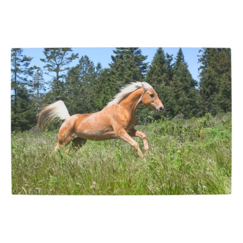 Palomino Horse Running through a Meadow Metal Print