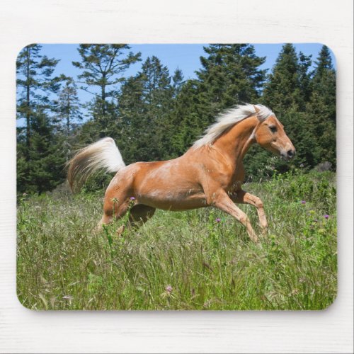 Palomino Horse Running through a Meadow Mouse Pad
