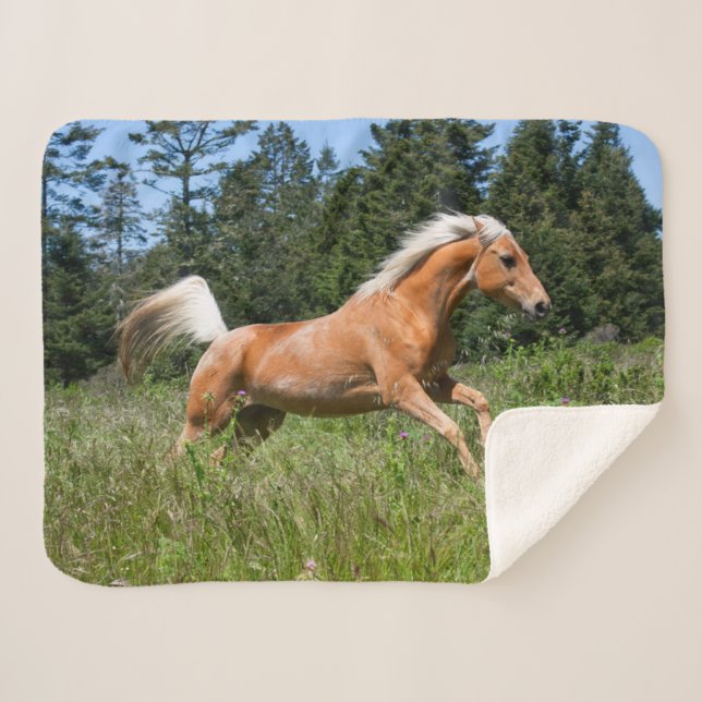 Palomino Horse Running through a Meadow Sherpa Blanket (Front (Horizontal))