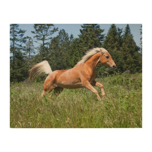 Palomino Horse Running through a Meadow Wood Wall Art