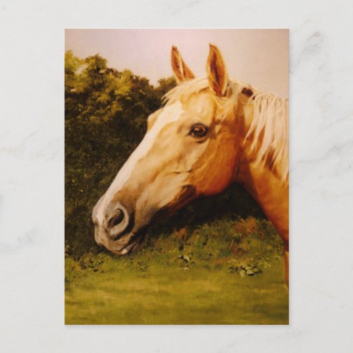 Palomino Horse with White Blaze Postcard