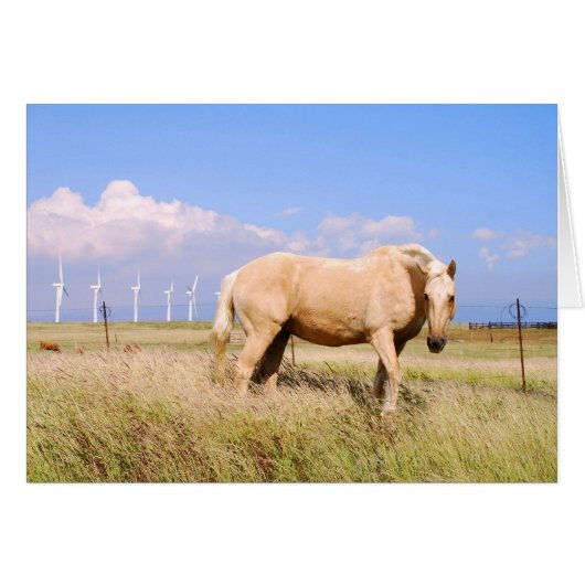 Palomino Horse with Windmills Card (Front Horizontal)
