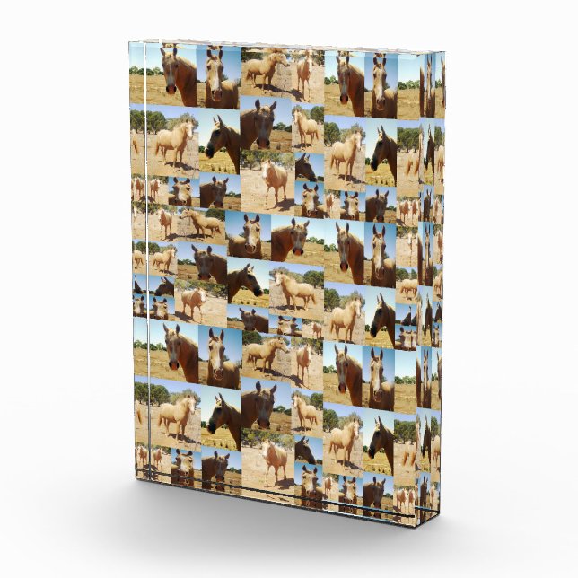 Palomino Horses Photo Collage, Block (Right)