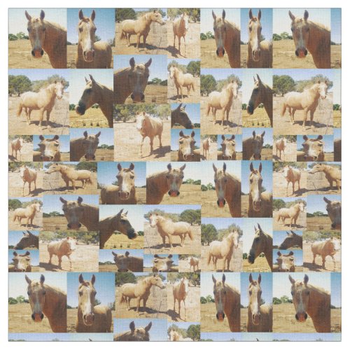 Palomino Horses Photo Collage    Fabric