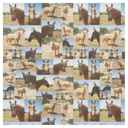 Palomino Horses Photo Collage,    Fabric