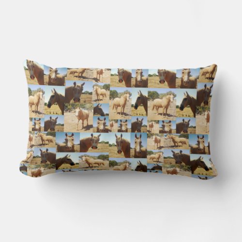 Palomino Horses Photo Collage Lumbar Pillow