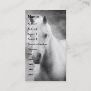 Palomino in Black and White Business Card