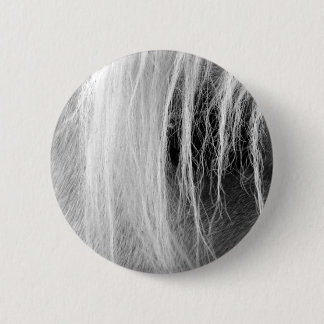 Palomino in Black and White Button