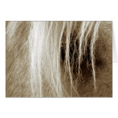 Palomino in Sepia (Front Horizontal)