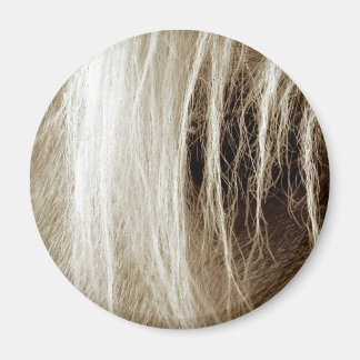 Palomino in Sepia Magnet