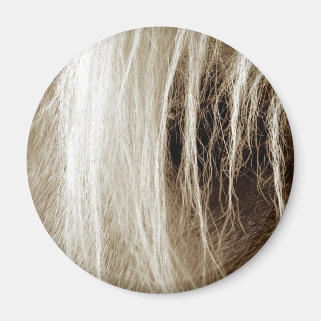 Palomino in Sepia Magnet (Front)