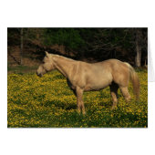 Palomino in Yellow Flowers (Front Horizontal)
