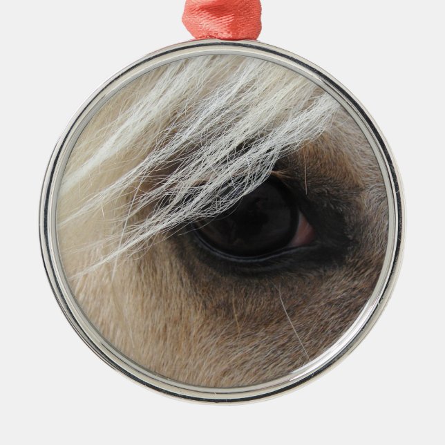 Palomino Metal Ornament (Front)