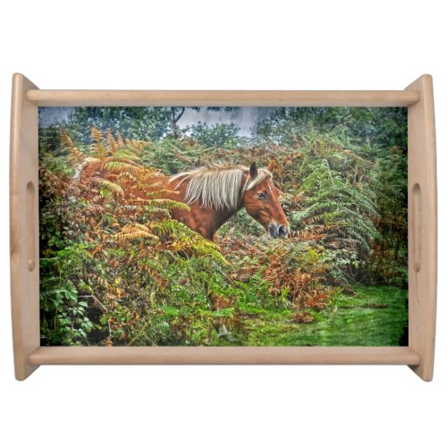 Palomino New Forest Pony Horse_lover Nature Photo Serving Tray