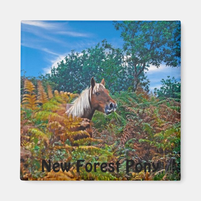 Palomino New Forest Pony Horse-lover's Gift Magnet (Front)