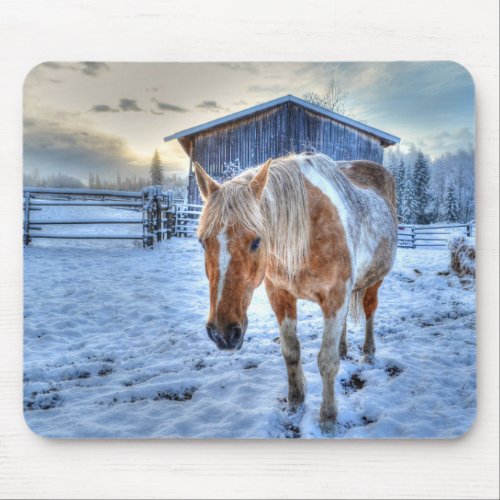 Palomino Paint Horse and Barn Equine Photography Mouse Pad