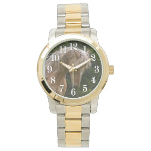 Palomino Paint Horse & Forest Photo Watch
