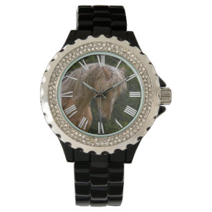 Palomino Paint Horse & Forest Photo Watch