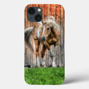Palomino Paint Stallion and Barn for Horse-lovers iPhone 13 Case