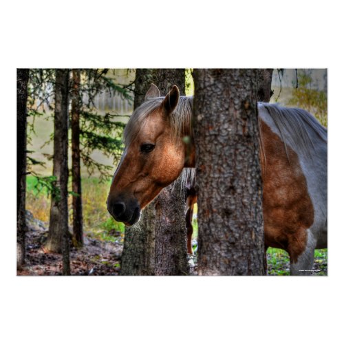 Palomino Paint Stallion  Forest Equine Photo Poster