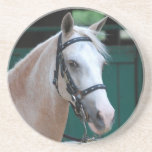 Palomino Paso Fino  Coaster