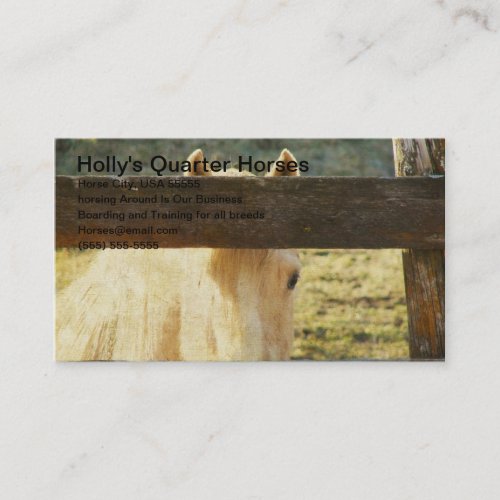 Palomino Peeking Though Fence Business Card