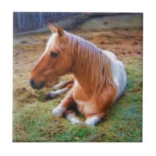 Palomino Pinto Horse Resting Artwork Ceramic Tile