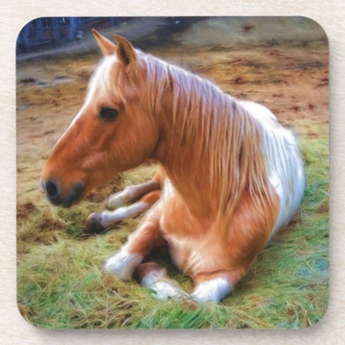 Palomino Pinto Horse Resting Artwork Drink Coaster