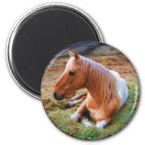 Palomino Pinto Horse Resting Artwork Magnet