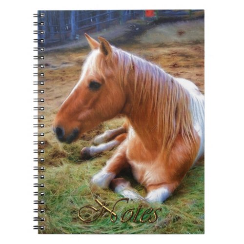 Palomino Pinto Horse Resting Artwork Notebook