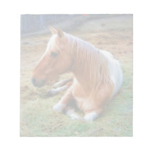 Palomino Pinto Horse Resting Artwork Notepad