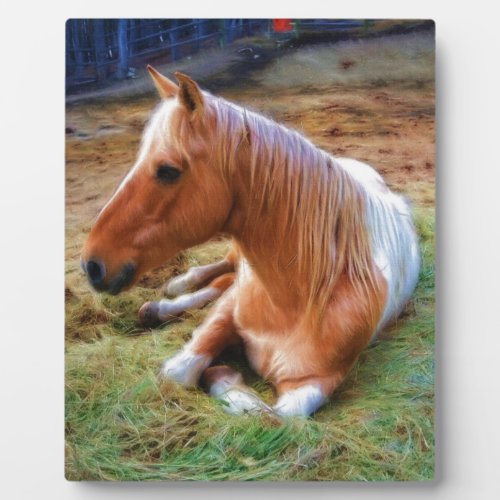 Palomino Pinto Horse Resting Artwork Plaque