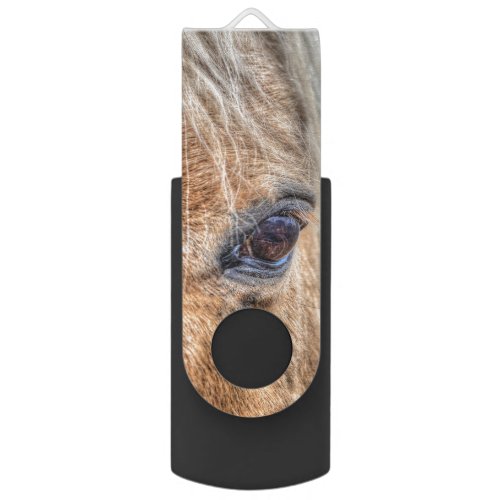 Palomino Pinto Horse Stallion Equine Eye USB Flash Drive