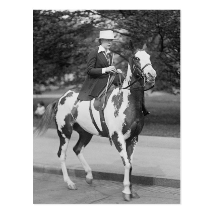 Palomino Pony, 1915 Post Cards