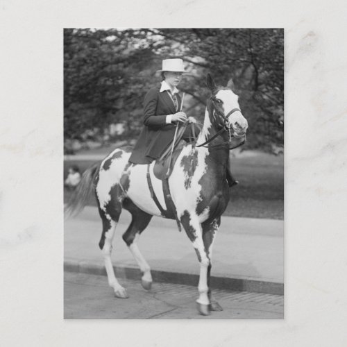 Palomino Pony 1915 Postcard